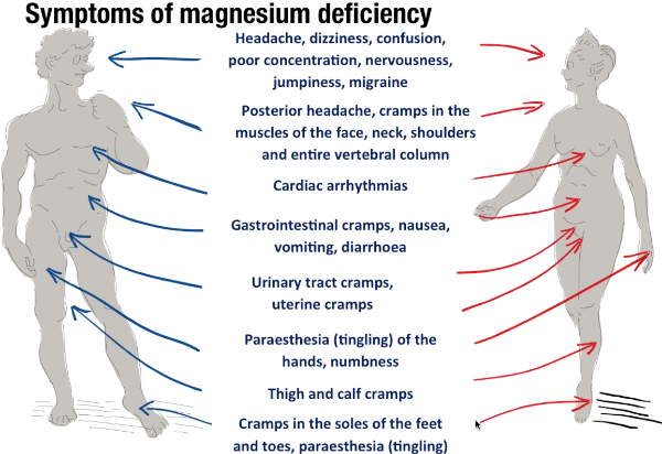Symptoms of Mag deficiency-875 Symptoms of Mag deficiency-875